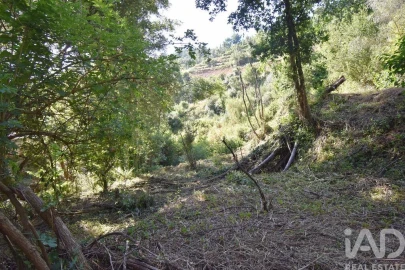 Terreno para Venda em Espinhal