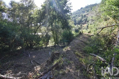 Terreno para Venda em Espinhal