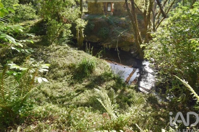Terreno para Venda em Espinhal
