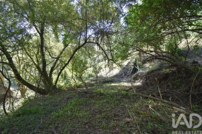 Terreno para Venda em Espinhal