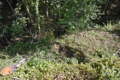 Terreno para Venda em Espinhal