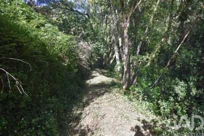 Terreno para Venda em Espinhal