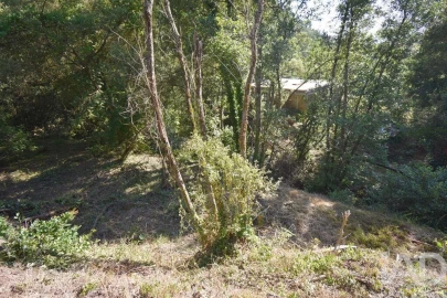 Terreno para Venda em Espinhal