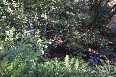 Terreno para Venda em Espinhal