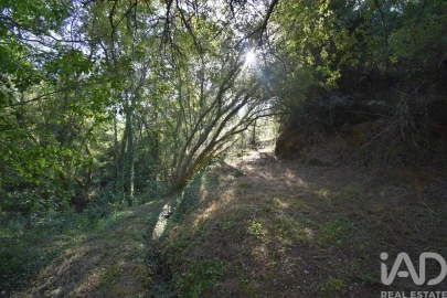 Terreno para Venda em Espinhal