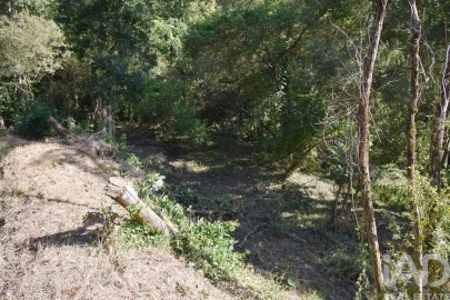 Terreno para Venda em Espinhal