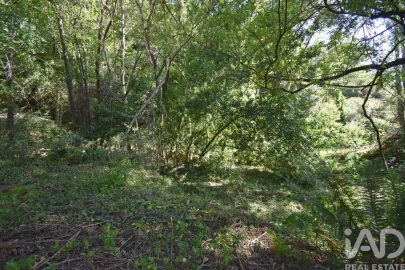 Terreno para Venda em Espinhal