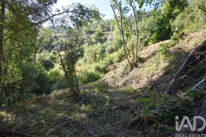 Terreno para Venda em Espinhal