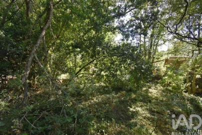 Terreno para Venda em Espinhal
