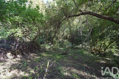 Terreno para Venda em Espinhal
