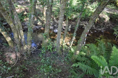 Terreno para Venda em Espinhal