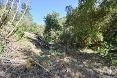 Terreno para Venda em Espinhal