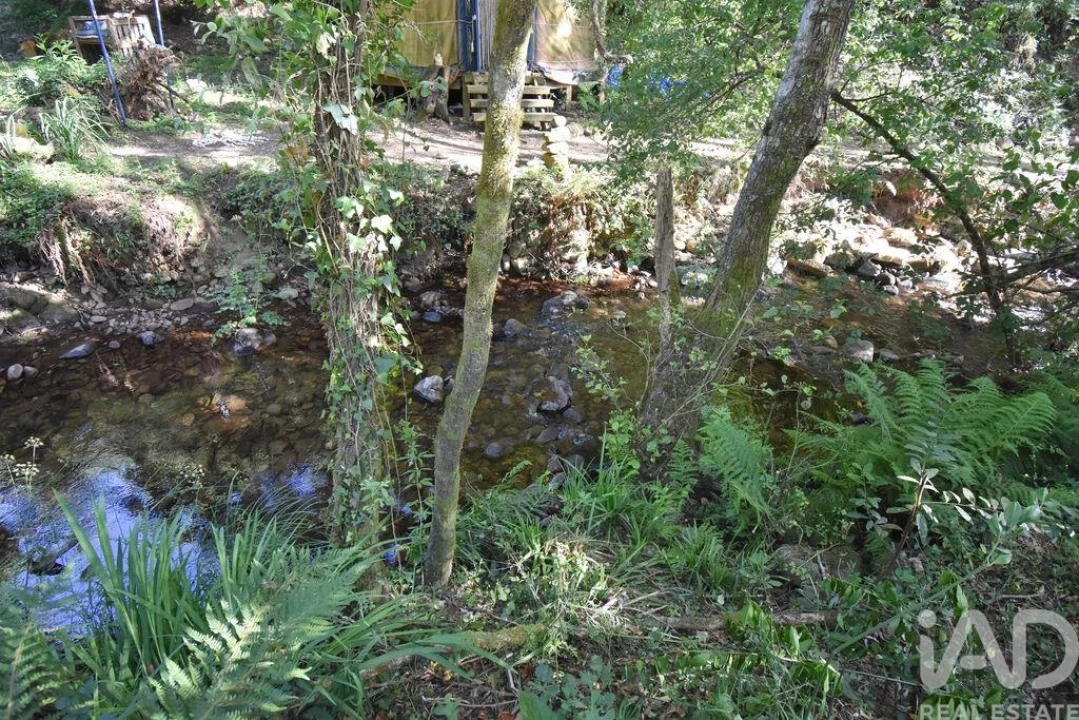 Terreno para Venda em Espinhal Foto 17