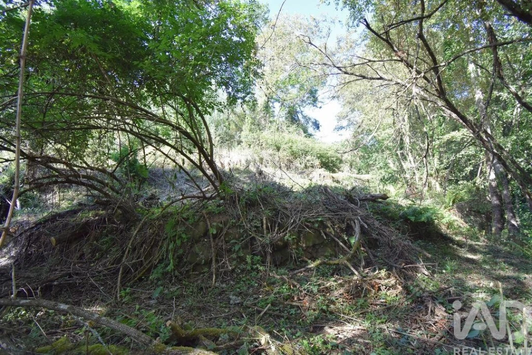 Terreno para Venda em Espinhal Foto 13