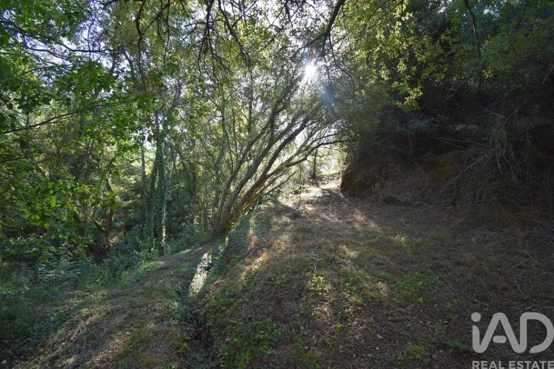 Terreno para Venda em Espinhal Foto 29