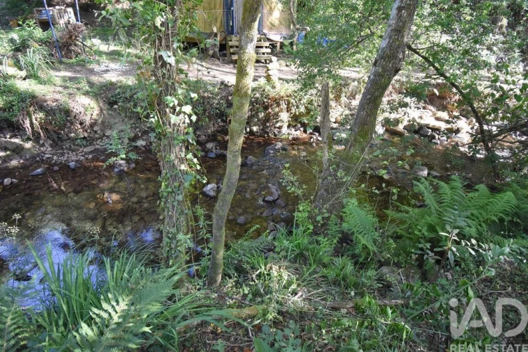 Terreno para Venda em Espinhal Foto 17
