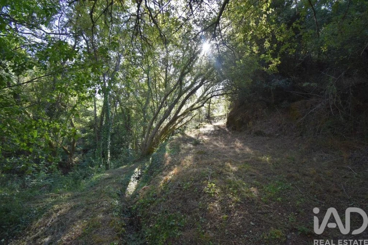 Terreno para Venda em Espinhal Foto 29