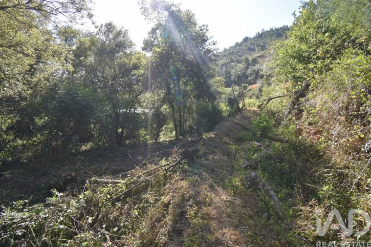 Terreno para Venda em Espinhal Foto 6