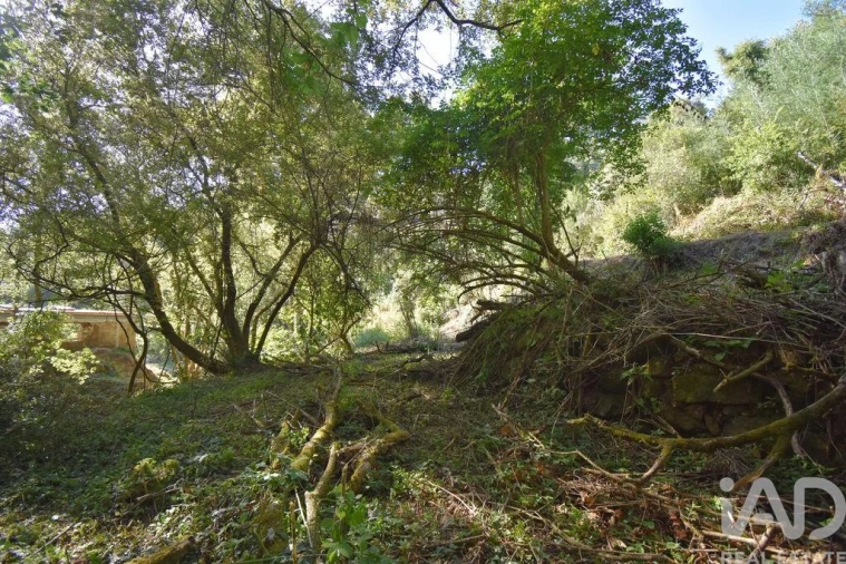 Terreno para Venda em Espinhal Foto 19