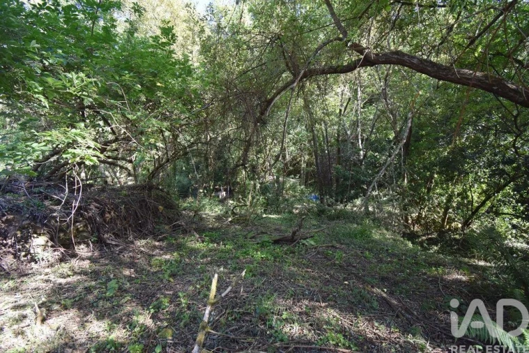 Terreno para Venda em Espinhal Foto 26