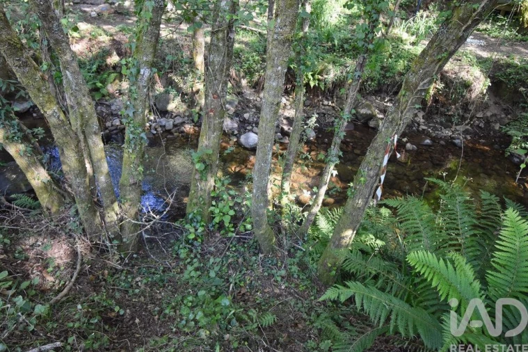 Terreno para Venda em Espinhal Foto 20