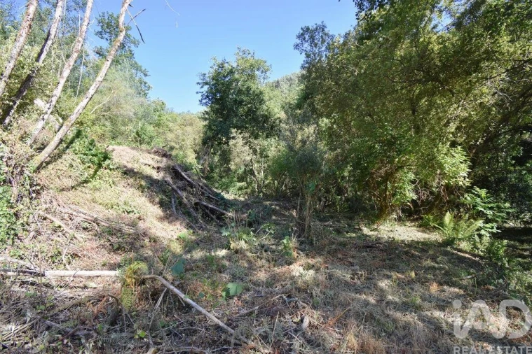 Terreno para Venda em Espinhal Foto 23