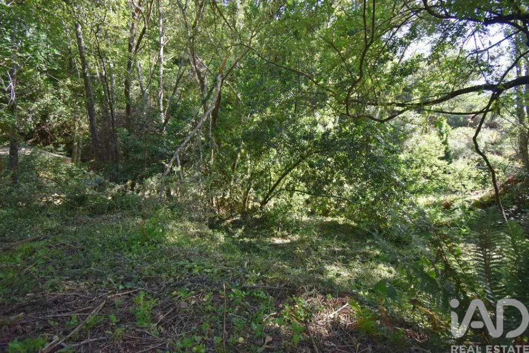 Terreno para Venda em Espinhal Foto 27