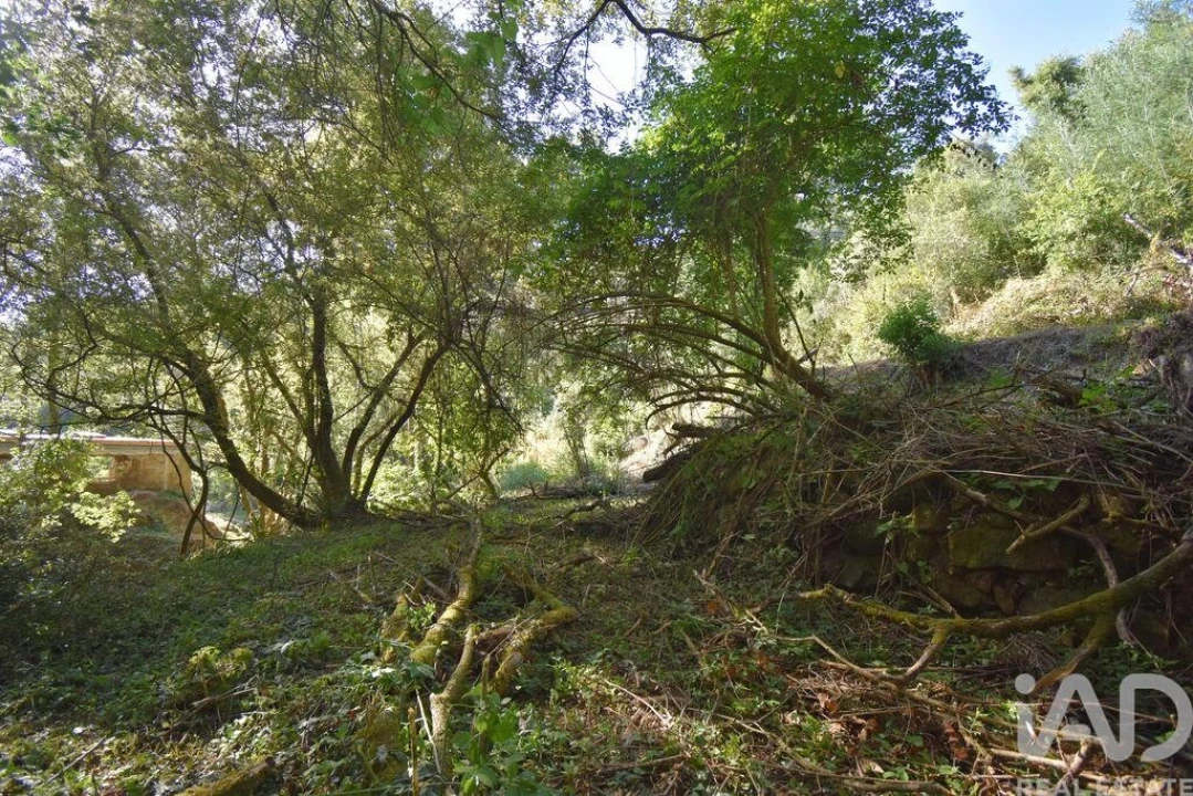 Terreno para Venda em Espinhal Foto 19