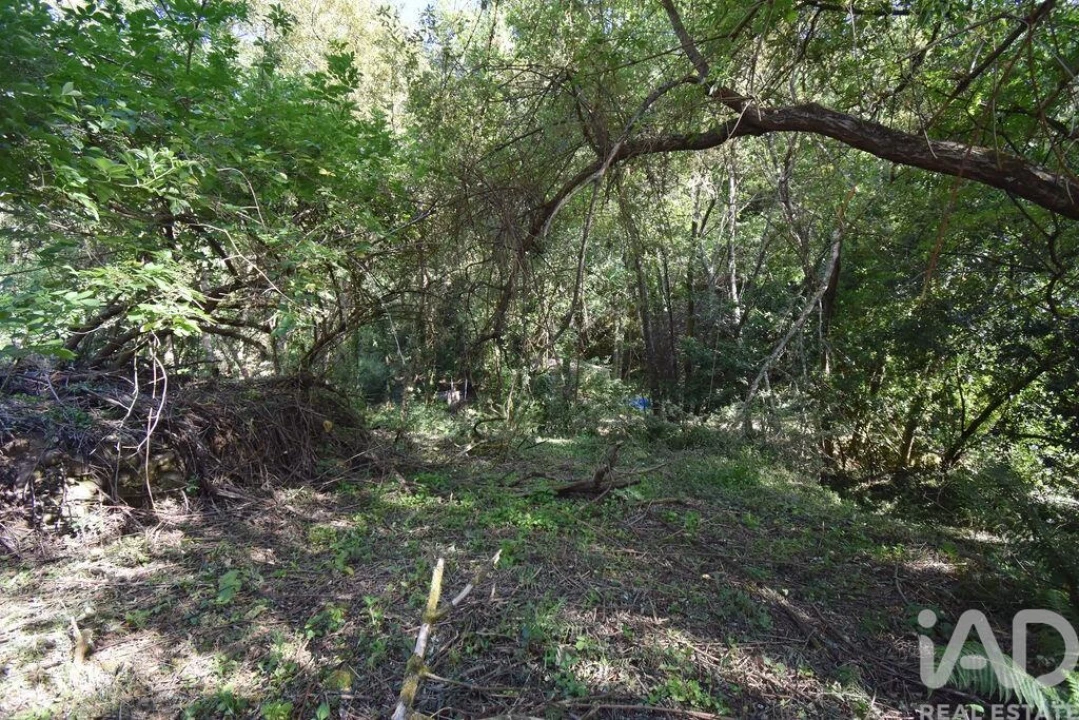 Terreno para Venda em Espinhal Foto 26