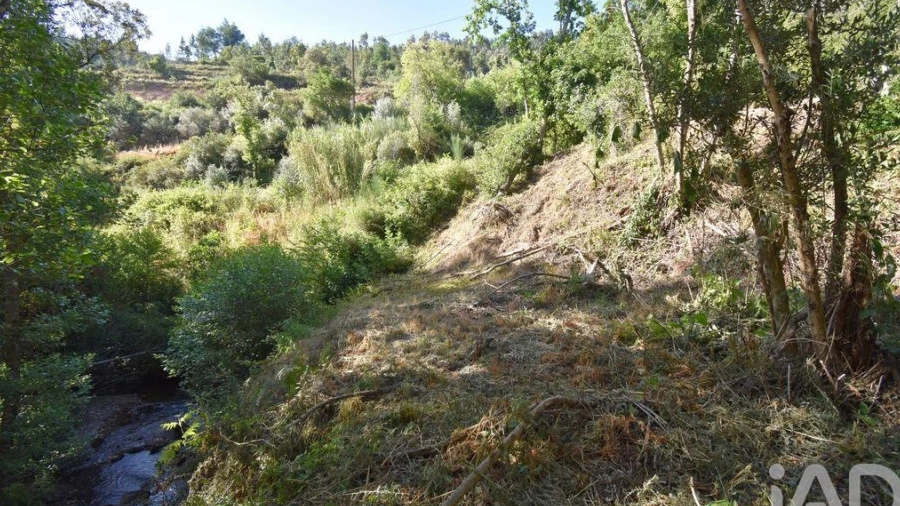 Terreno para Venda em Espinhal