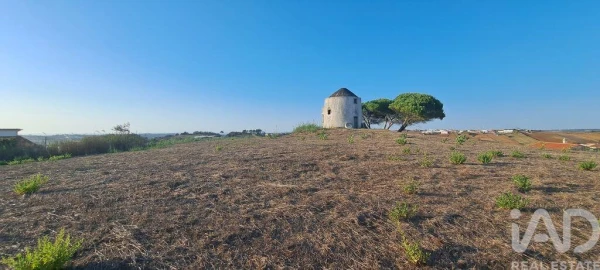 Terreno para Venda em Santa Barbara