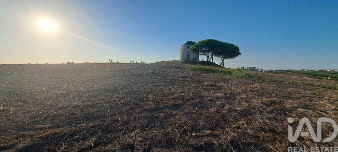 Terreno para Venda em Santa Barbara Foto 9