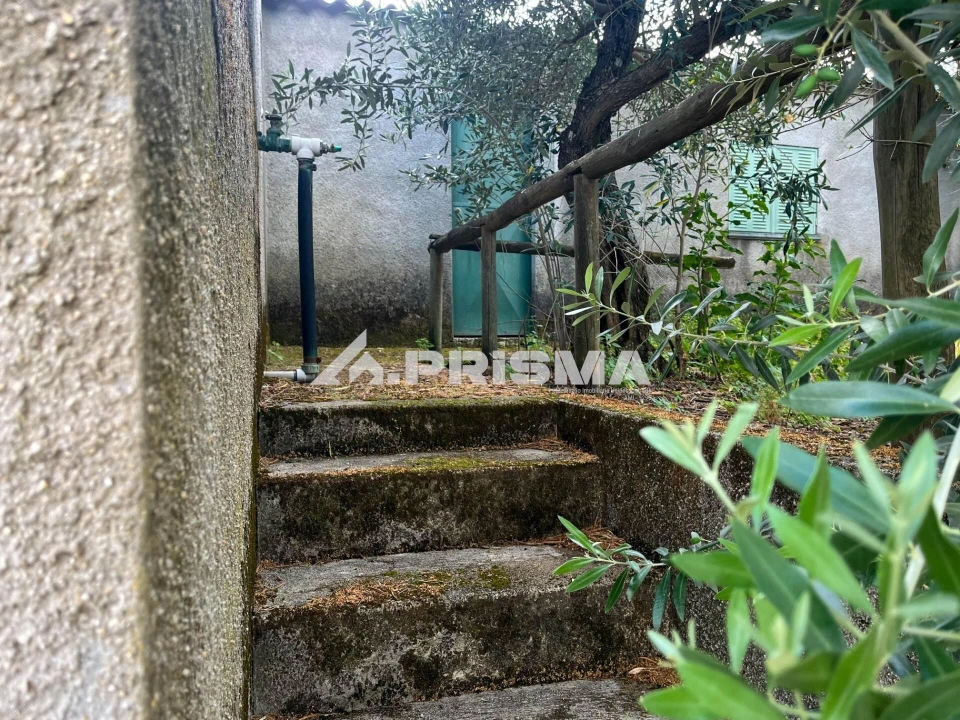 Terreno para Venda em Louriçal do Campo Foto 12