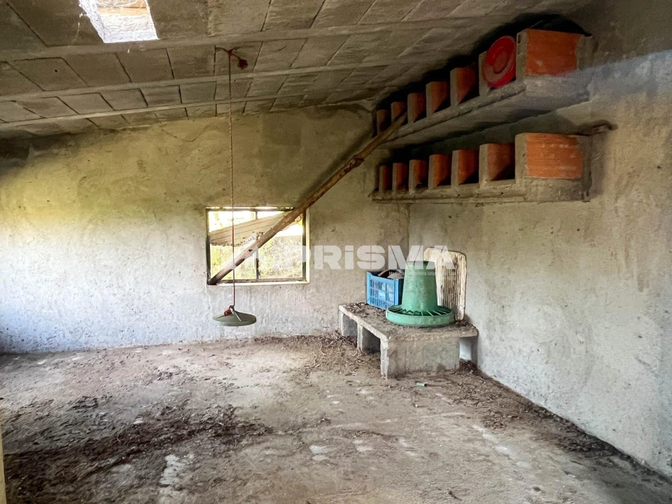 Terreno para Venda em Louriçal do Campo Foto 29