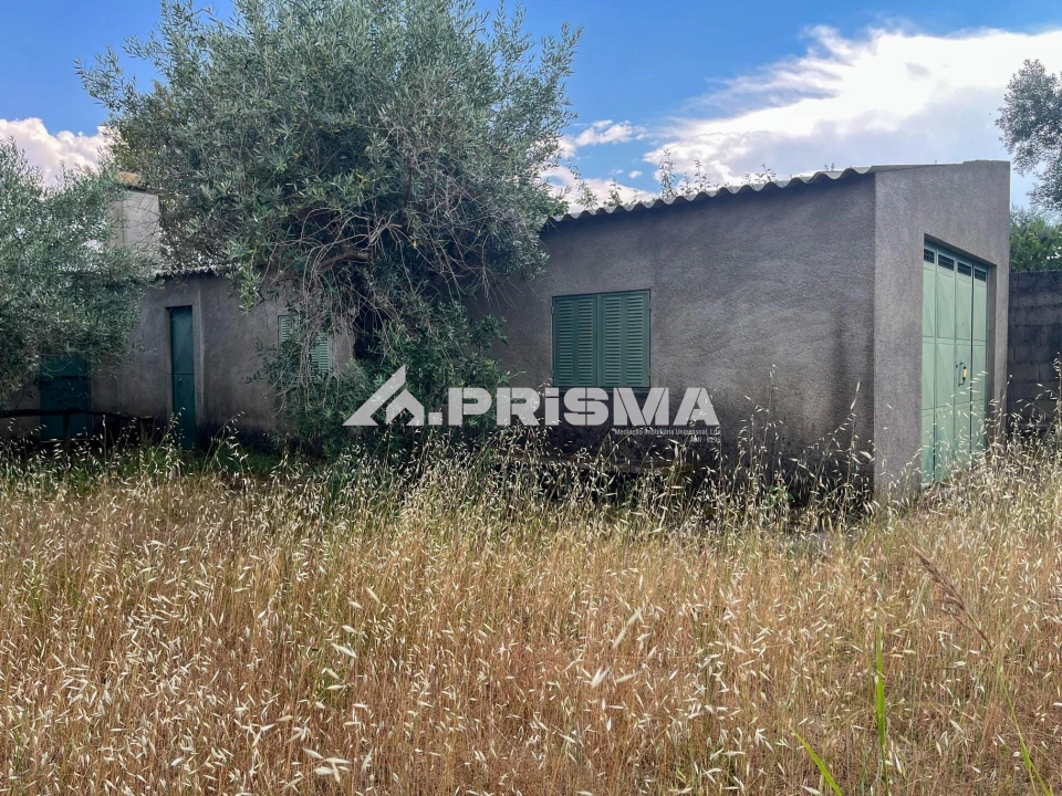 Terreno para Venda em Louriçal do Campo Foto 4