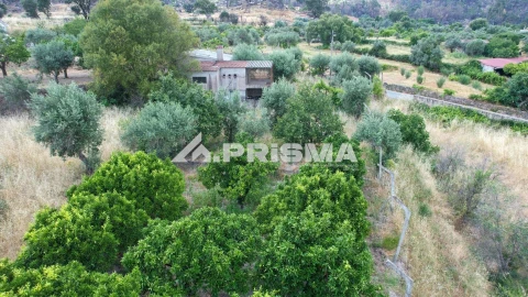 Terreno para Venda em Louriçal do Campo