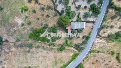Terreno para Venda em Louriçal do Campo