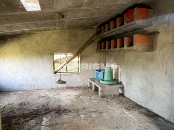 Terreno para Venda em Louriçal do Campo