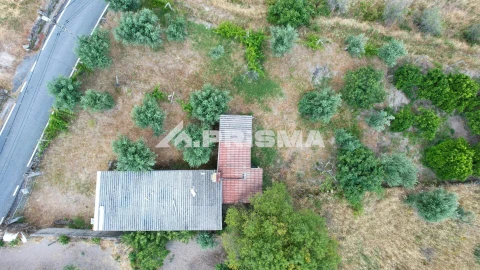 Terreno para Venda em Louriçal do Campo
