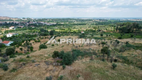 Terreno para Venda em Louriçal do Campo