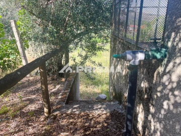Terreno para Venda em Louriçal do Campo