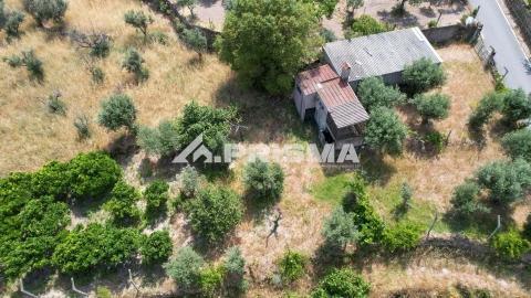 Terreno para Venda em Louriçal do Campo