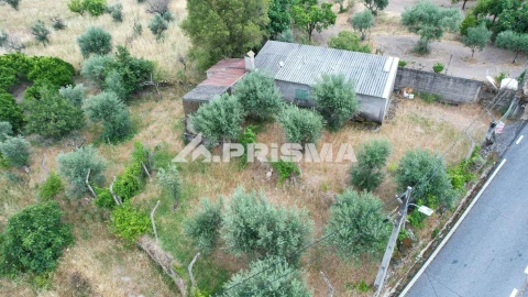 Terreno para Venda em Louriçal do Campo