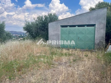 Terreno para Venda em Louriçal do Campo