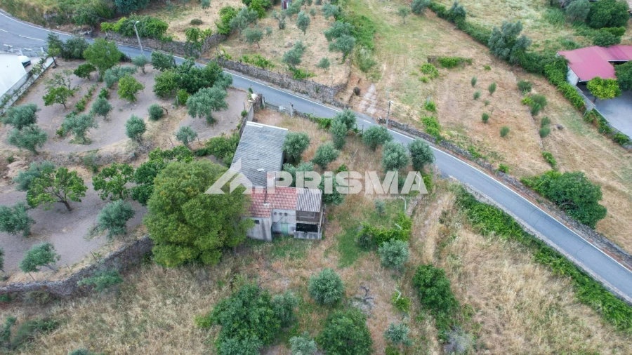Terreno para Venda em Louriçal do Campo Foto 24