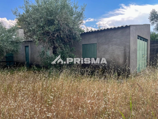Terreno para Venda em Louriçal do Campo Foto 4