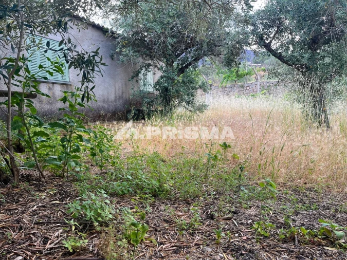 Terreno para Venda em Louriçal do Campo Foto 13