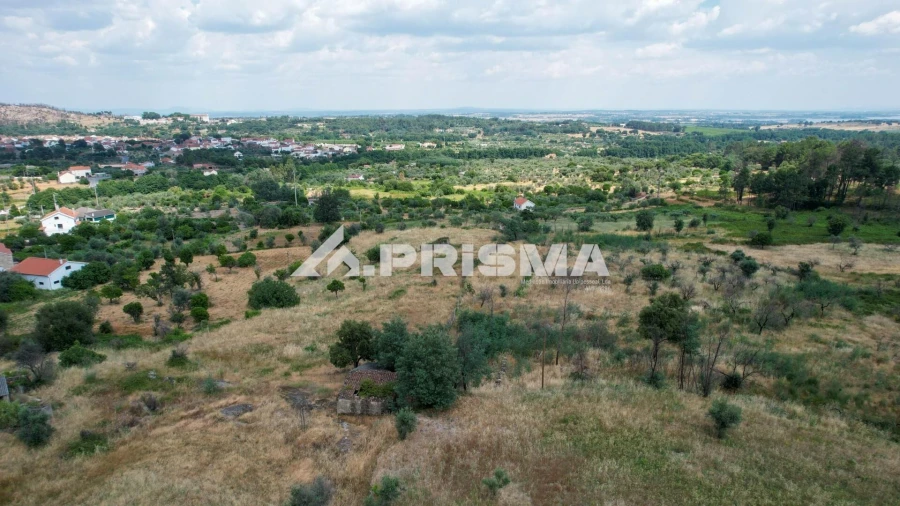 Terreno para Venda em Louriçal do Campo Foto 9