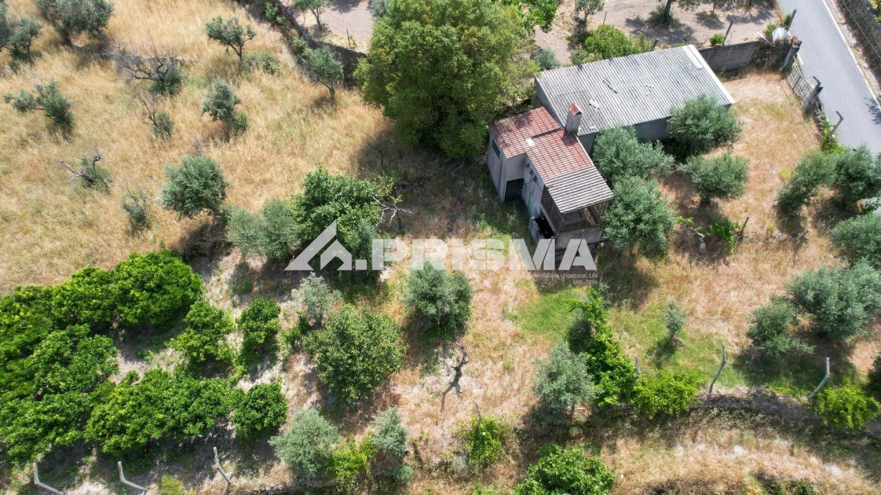 Terreno para Venda em Louriçal do Campo Foto 2