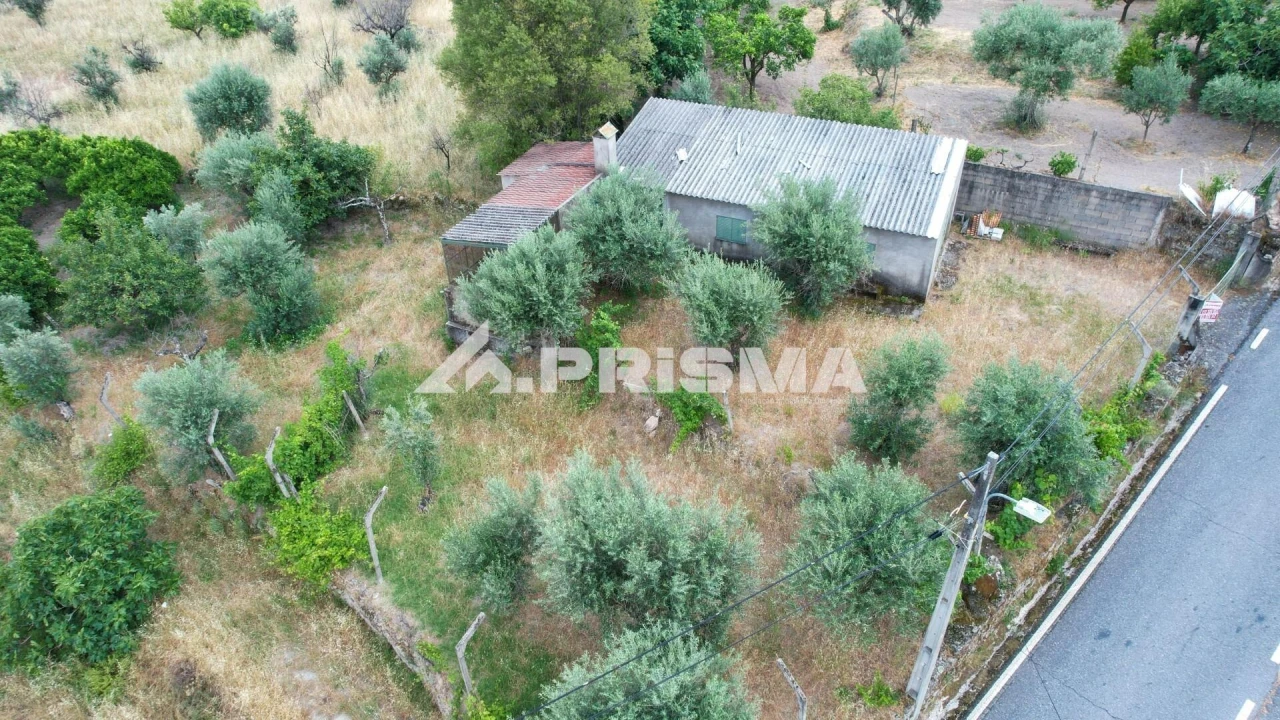 Terreno para Venda em Louriçal do Campo Foto 7
